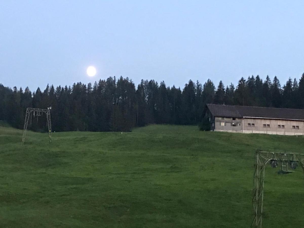 Kleine Ferienwohnung Am Rande Der Wildnis Sibratsgfäll Exteriör bild