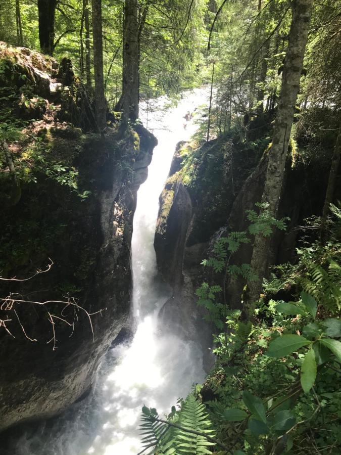 Kleine Ferienwohnung Am Rande Der Wildnis Sibratsgfäll Exteriör bild