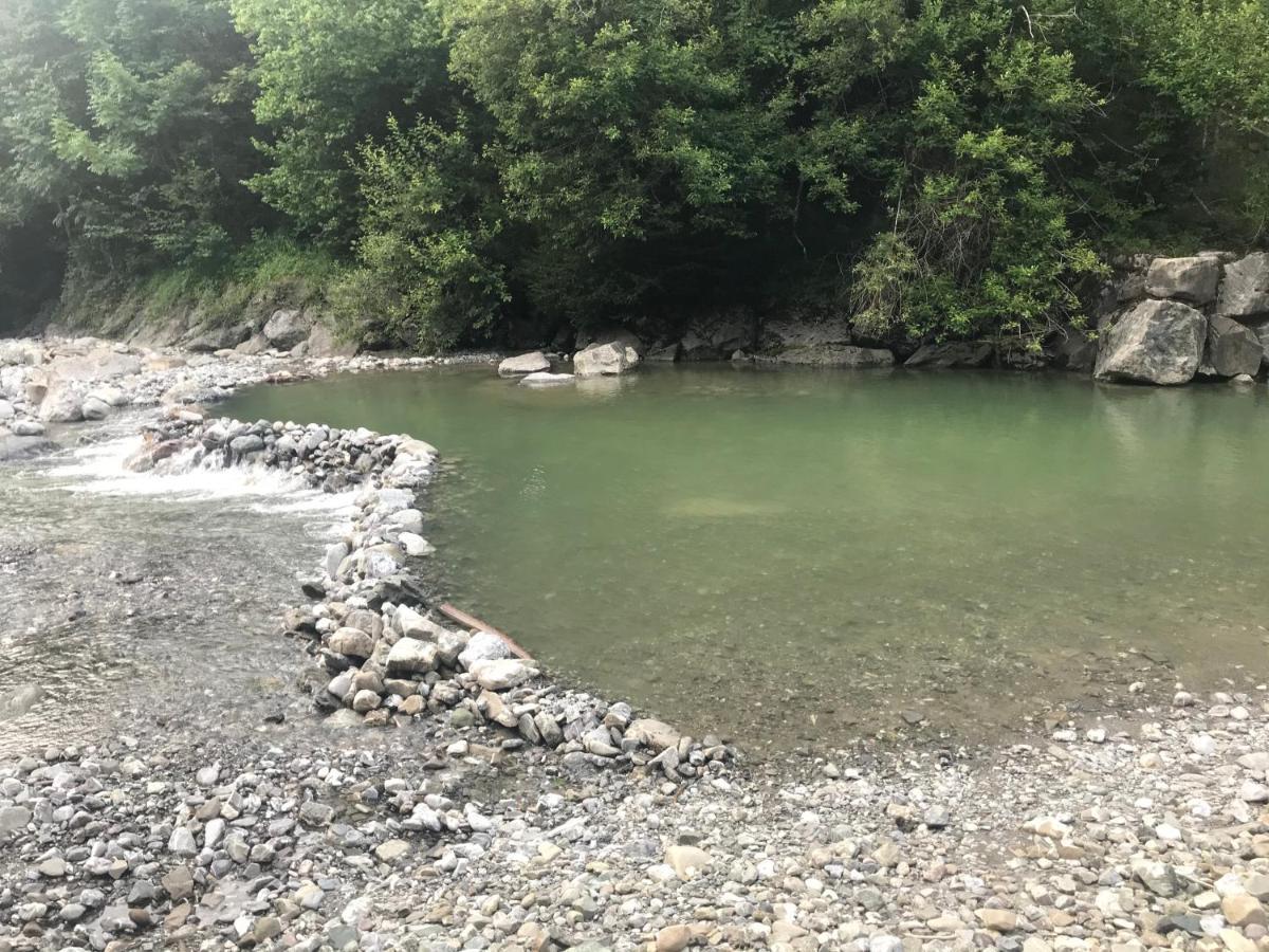 Kleine Ferienwohnung Am Rande Der Wildnis Sibratsgfäll Exteriör bild