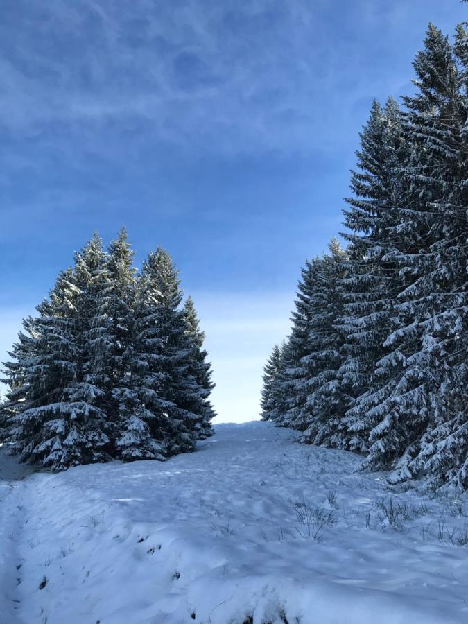 Kleine Ferienwohnung Am Rande Der Wildnis Sibratsgfäll Exteriör bild