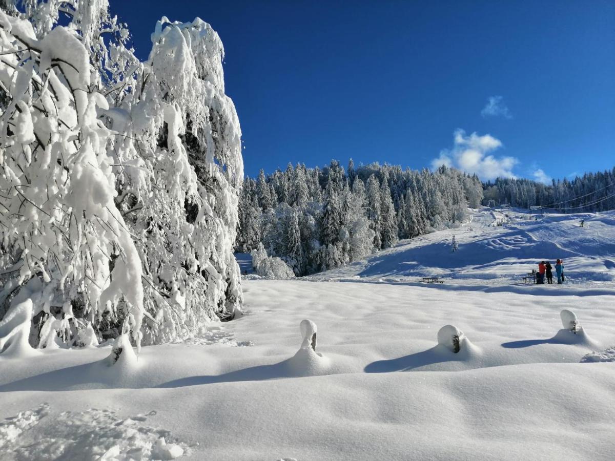 Kleine Ferienwohnung Am Rande Der Wildnis Sibratsgfäll Exteriör bild