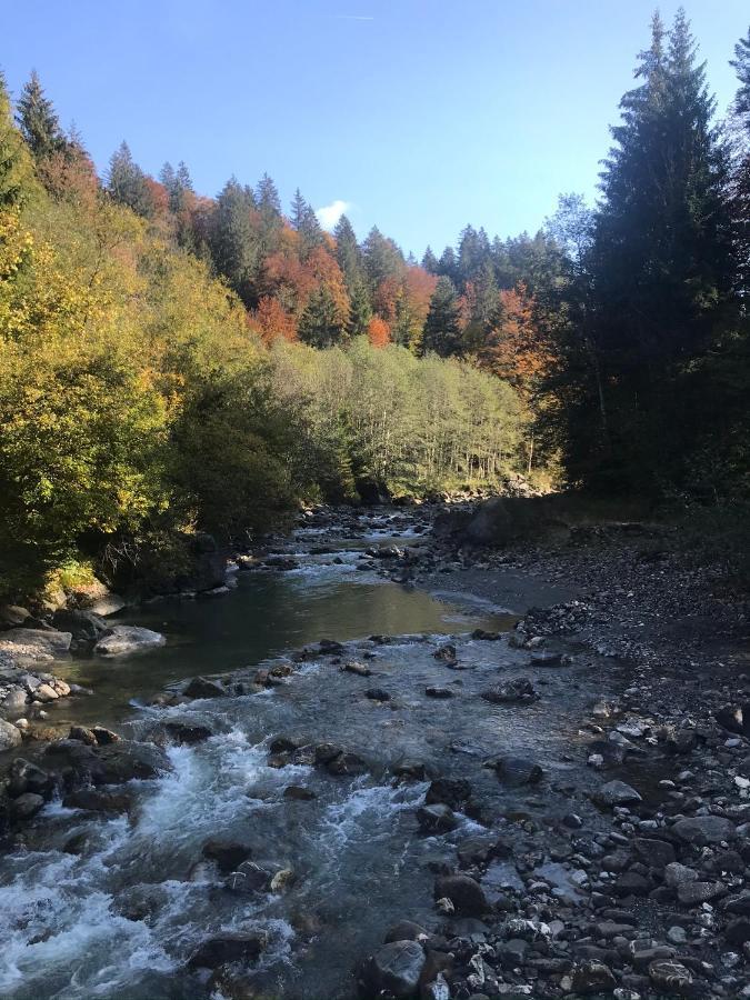Kleine Ferienwohnung Am Rande Der Wildnis Sibratsgfäll Exteriör bild